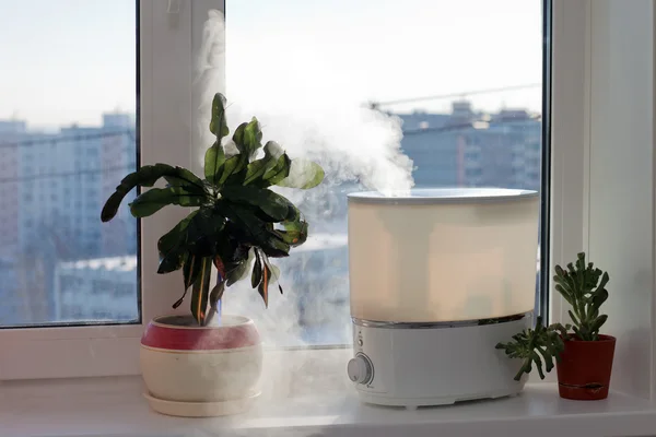 Humidificateur — Photo