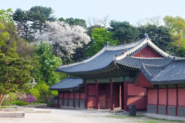 Korean style houses in Changdeokgung Palace in Seoul, Korea. — Stock Photo, Image