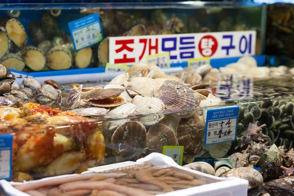 Scallops and other shells at fish market — Stock Photo, Image
