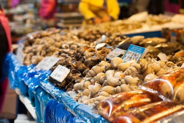 Sea snails and other shells at fish market — Stock Photo, Image