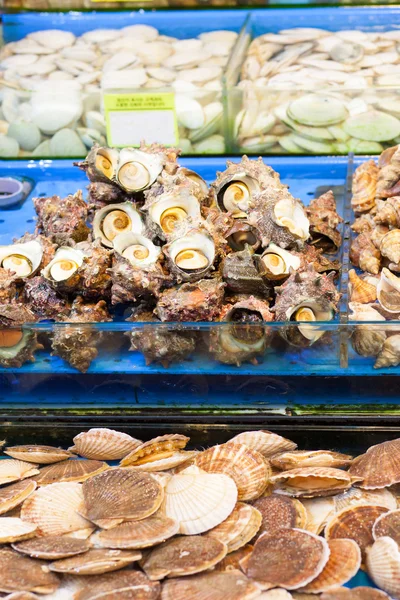 Deniz salyangozları ve tarak balık Market