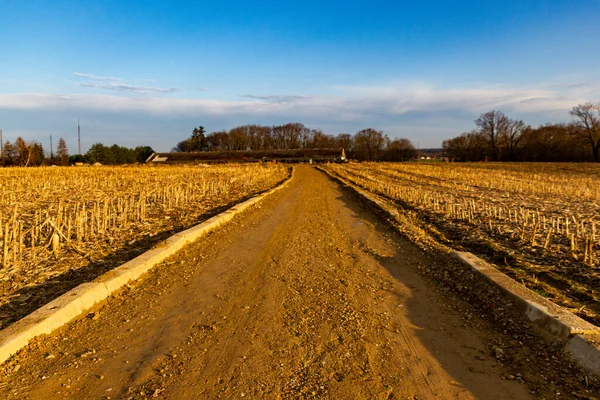 Hiçliğe giden kırsal yol