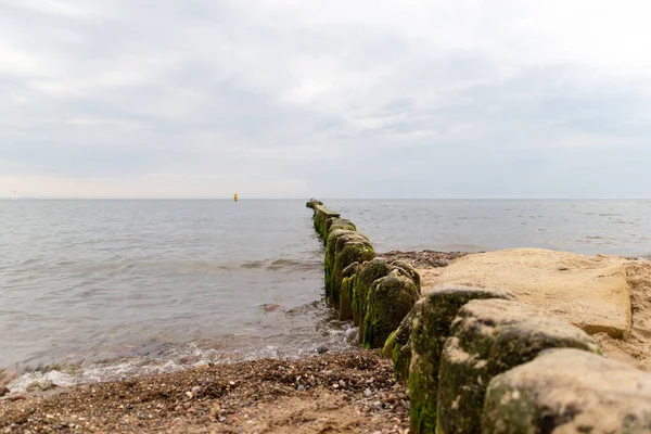 Mouettes Sur Mur Bois Dans Mer — Photo