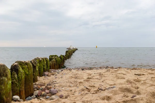 Seagulls Wooden Wall Sea — Stock Photo, Image