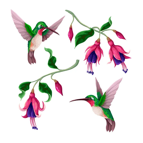 Colibrì e fiori tropicali isolati. Stampa vettoriale alla moda — Vettoriale Stock