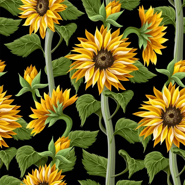Pola mulus dengan bunga matahari pada latar belakang hitam. - Stok Vektor