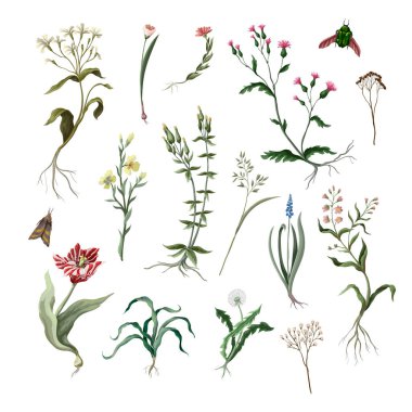 Issız yabani çiçekler. Vektör.