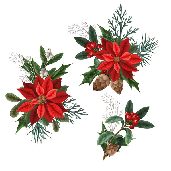 Bayas, pinos y hojas botánicas aisladas para el diseño navideño. — Vector de stock