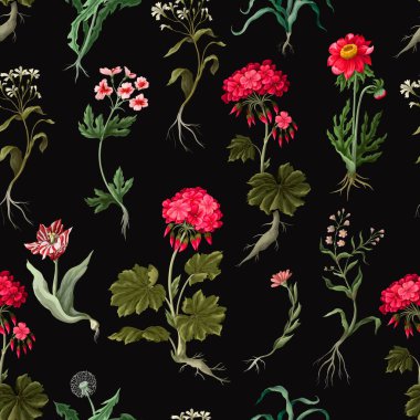 Seamless pattern with geraniums and wild flowers. Trendy floral vector print.
