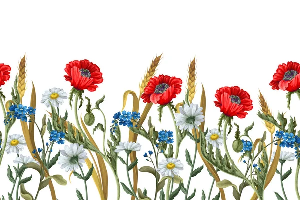 Grenze mit botanischen Blumen wie Mohn, Kamille, Weizenähre und anderen. — Stockvektor