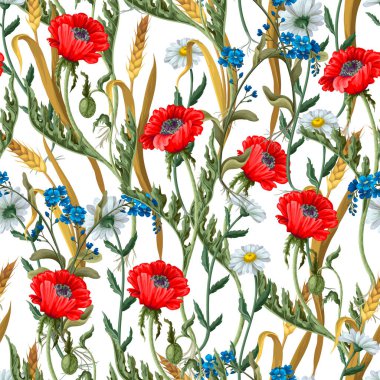 Seamless pattern with botanical flowers such as poppies, chamomile, ear of wheat and other.
