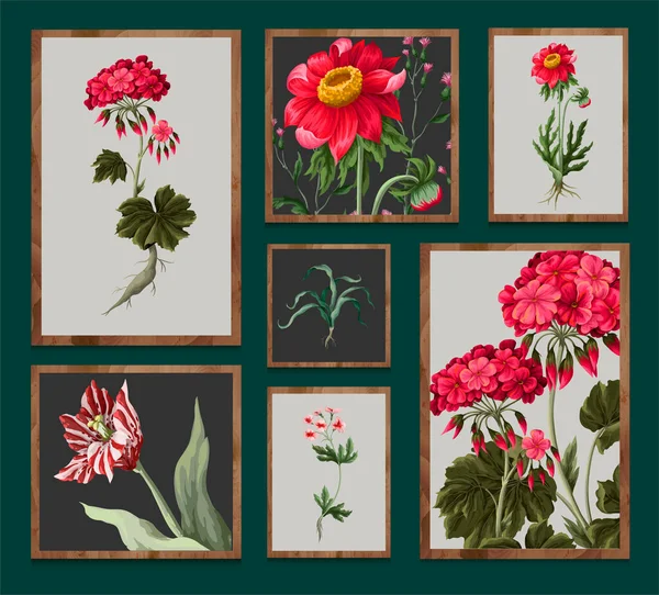 Geranios botánicos y flores silvestres dentro del marco. Vector — Archivo Imágenes Vectoriales