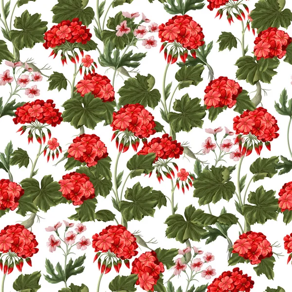 Seamless pattern with geraniums and wild flowers. Trendy floral vector print. — Vetor de Stock