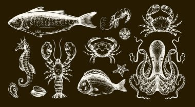 Balık deniz vektörü, yengeç ahtapot, ıstakoz ve deniz yıldızı çizimlerini izole etti..