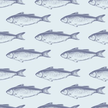 Yengeç, ahtapot, deniz atı, deniz yıldızı ve karides desenli balık deniz vektörü..