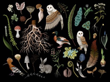 Vahşi organik baykuş vektörünü, yosun kökü elementleriyle, saf yalıtılmış doğayla yeniden oluşturun..