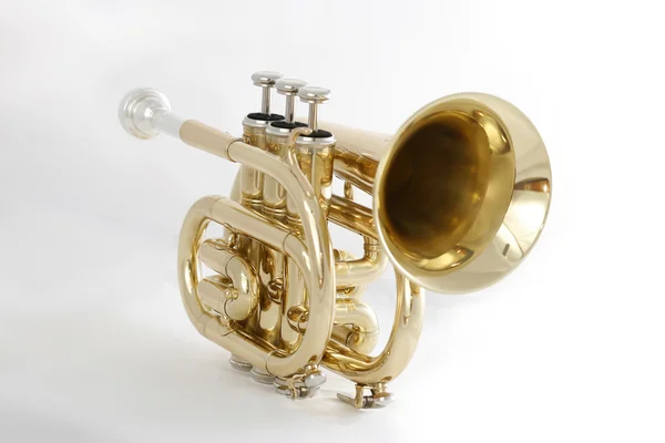 Golden pocket trumpet — Stock Photo, Image