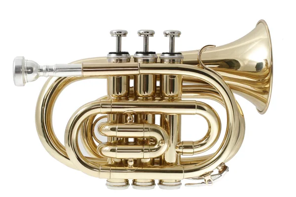 Altın cep trompet — Stok fotoğraf