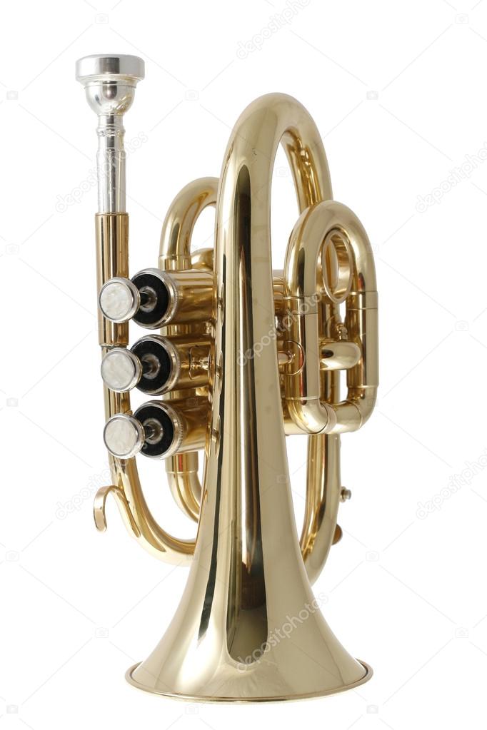 golden pocket trumpet 
