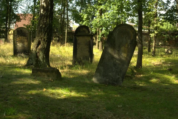 Cmentarz Ydowski Zorach Polsce Zosta Zaoony 1814 Zniszczony Czasie Wojny — Fotografia de Stock