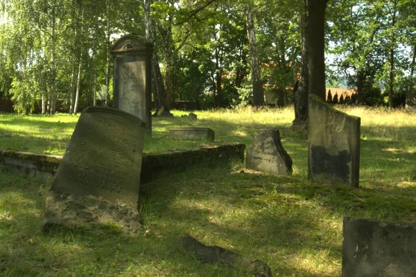 Cmentarz Ydowski Zorach Polsce Zosta Zaoony 1814 Zniszczony Czasie Wojny — Zdjęcie stockowe