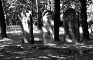 Cmentip Zydowski w zorach w Polsce zostal zaloony w 1814 i zniszczony w czasie 2 wojny swiatowej. Otoczony murem, jest najstarsza nekropoli miasta.