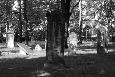 Cmentip Zydowski w zorach w Polsce zostal zaloony w 1814 i zniszczony w czasie 2 wojny swiatowej. Otoczony murem, jest najstarsza nekropoli miasta.