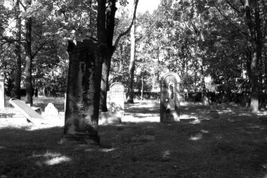 Cmentip Zydowski w zorach w Polsce zostal zaloony w 1814 i zniszczony w czasie 2 wojny swiatowej. Otoczony murem, jest najstarsza nekropoli miasta.