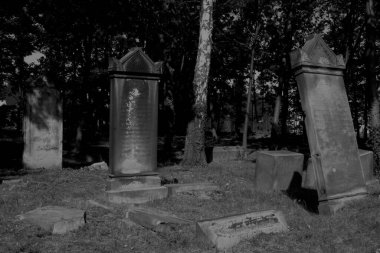 Cmentip Zydowski w zorach w Polsce zostal zaloony w 1814 i zniszczony w czasie 2 wojny swiatowej. Otoczony murem, jest najstarsza nekropoli miasta.