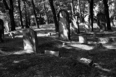 Cmentip Zydowski w zorach w Polsce zostal zaloony w 1814 i zniszczony w czasie 2 wojny swiatowej. Otoczony murem, jest najstarsza nekropoli miasta.