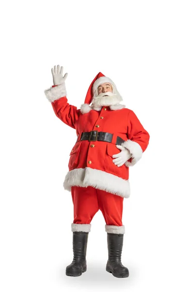 Noel Baba elini kaldırarak herkesi selamlar. Sakallı Mtszhchchina boyunda, Noel Baba elini sallıyor. İzole edilmiş beyaz arkaplan.