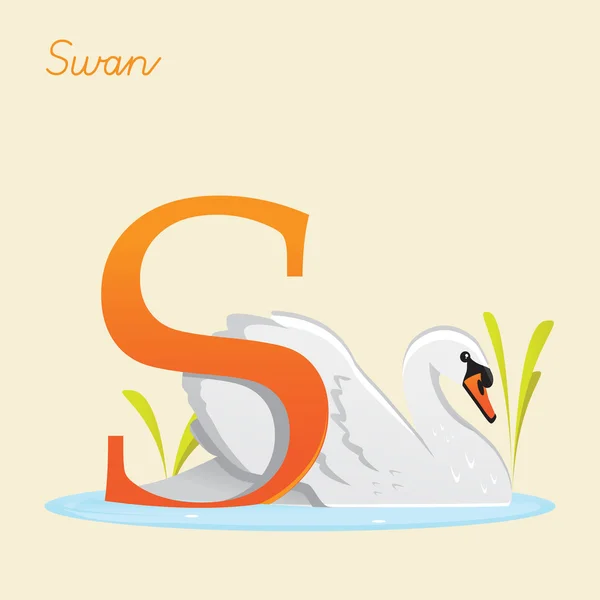 Alfabeto animal con cisne — Vector de stock