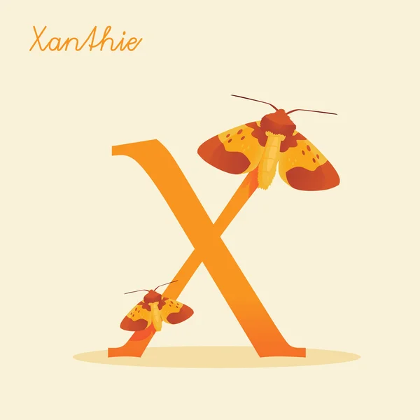 Xanthie 동물 알파벳 — 스톡 벡터