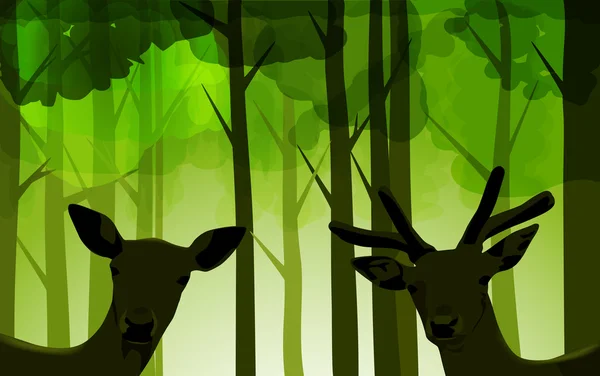 Ciervos forestales — Vector de stock