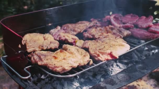 Barbecue vlees, prachtig bruin gegrild vlees. Gegrilde varkensvlees in de voorjaarstuin. Vlees koken op de grill in de natuur. Koken van vlees op kolen Stockvideo's