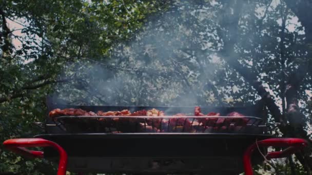 Vlees koken op de grill in de natuur. Het vlees op de grill gebrouwen. Varkensvlees op de grill buiten. Koken van vlees op kolen — Stockvideo