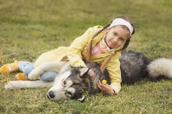 Renkli giysiler içinde sevimli bir kız çimenlerde oturuyor ve komik arkadaşı Malamute ile oynuyor.