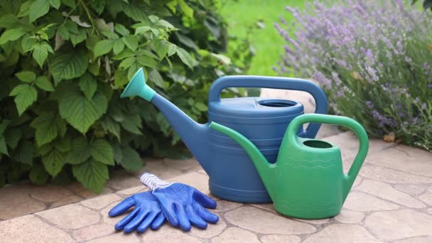 Gardeners set with watering can and gloves for gardening — Stock Video