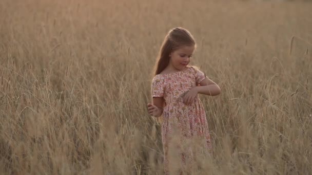Mooi jong meisje 5-6 jaar oud met lang blond haar wandelen in tarweveld — Stockvideo