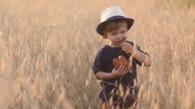 Tatlı ve komik küçük çocuk yaz günü buğday tarlasında taze çörek yiyor. 