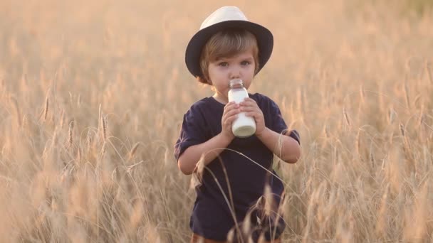 かわいいと面白い男の子は夏の日にガラス瓶からミルクを飲みます — ストック動画