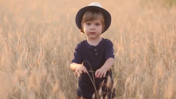 かわいい白人の男の子が夕暮れ時の夏の日に小麦畑を歩いています — ストック動画