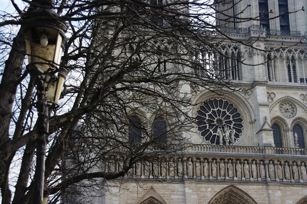 Notre dame de Paris, Fransa — Stok fotoğraf