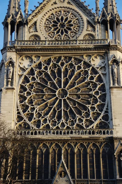 Notre dame de paris, Γαλλία — Φωτογραφία Αρχείου