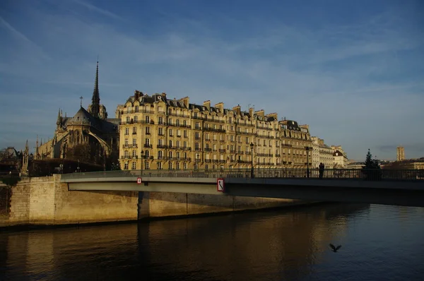 Notre Dame de Paris és a river Seine, Franciaország — Stock Fotó