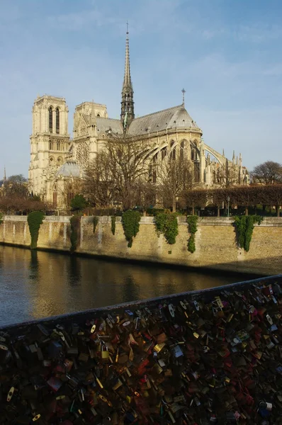 Notre Dame de Paris és a river Seine, Franciaország — Stock Fotó