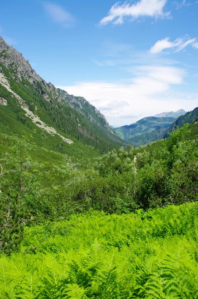 The Tatra Mountains, Poland — Stock Photo, Image