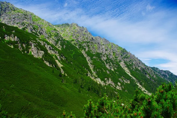 ポーランド、タトラ山脈 — ストック写真