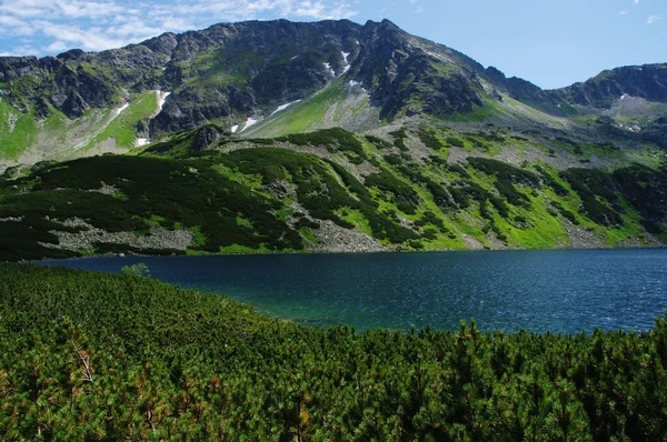 Sjön i Tatrabergen, Polen — Stockfoto