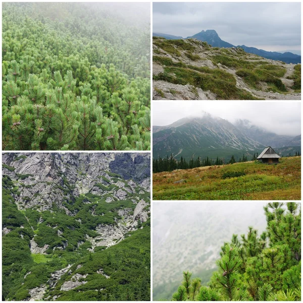 Tatra Mountains in the fog, Poland - photo collage — Stock Photo, Image